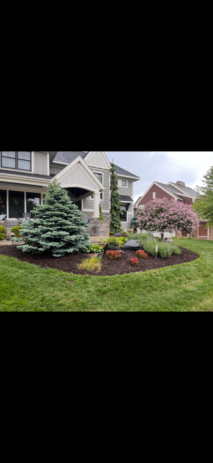 Curved mulch bed planted with blue spruce, perennials, and decorative boulders