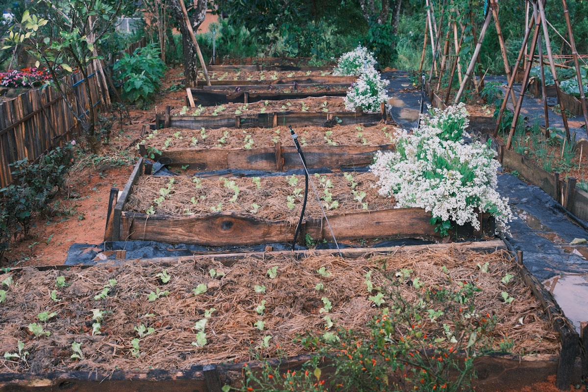 Landscape Bed Design & Installation